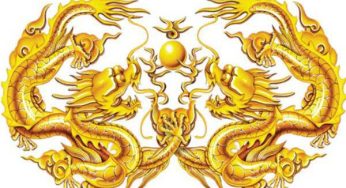 Cây cảnh hợp phong thủy gia chủ tuổi Tân Mùi